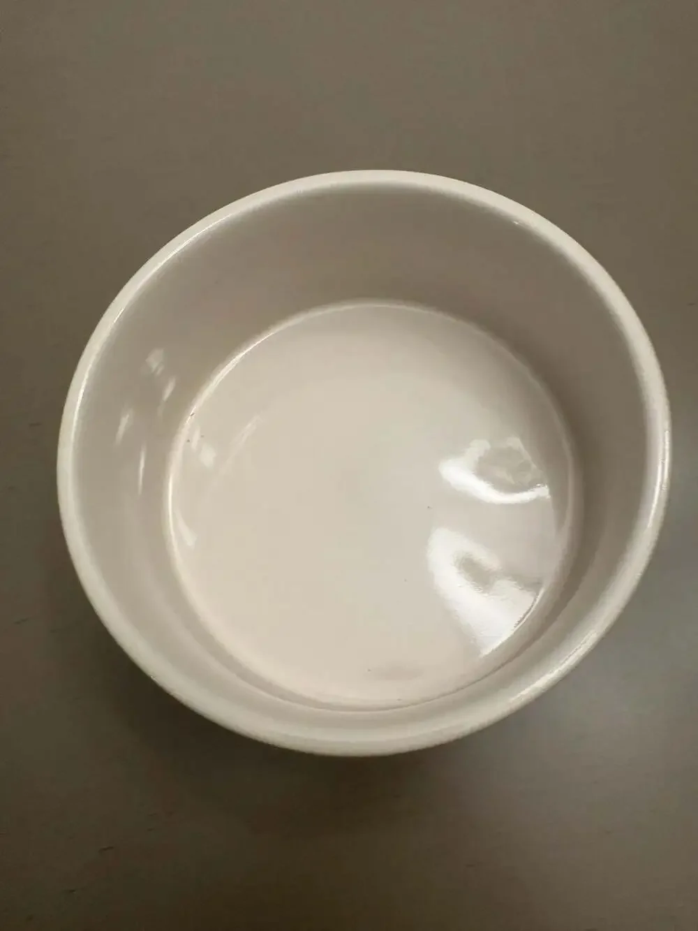 Rae Dunn Artisan Collection by Magenta FOODIE Ceramic Pet Bowl
